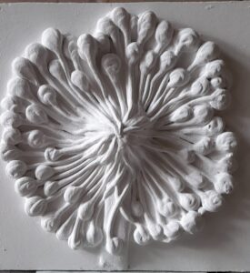 whatsapp image 2025 09 26 at 1.36.12 pm (2)